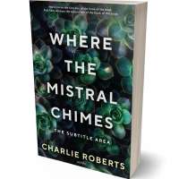 Tablet view of Aztec #4345 - Premade Romance Book Cover | BookCoverZone