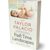 Tablet view of Satin Linen #4666 - Premade Family & Parenting Book Cover | BookCoverZone