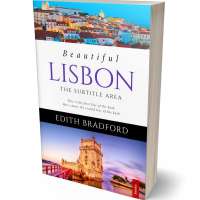 Tablet view of Lily #5313 - Premade Travel Book Cover | BookCoverZone