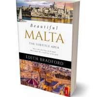 Tablet view of Limed Oak #5328 - Premade Travel Book Cover | BookCoverZone