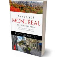 Tablet view of Armadillo #5374 - Premade Travel Book Cover | BookCoverZone