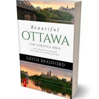 Tablet view of Tumbleweed #5375 - Premade Travel Book Cover | BookCoverZone