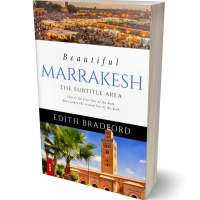 Tablet view of Mikado #5380 - Premade Travel Book Cover | BookCoverZone