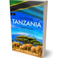 Tablet view of Old Gold #5405 - Premade Travel Book Cover | BookCoverZone