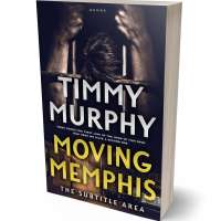 Tablet view of Straw #6151 - Premade Mystery & Thriller & Suspense Book Cover | BookCoverZone