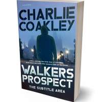 Tablet view of Big Stone #6470 - Premade Mystery & Thriller & Suspense Book Cover | BookCoverZone