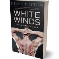 Tablet view of Thunder #7500 - Premade Erotica Book Cover | BookCoverZone