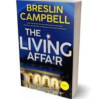 Tablet view of Bunting #7879 - Premade Mystery & Thriller & Suspense Book Cover | BookCoverZone