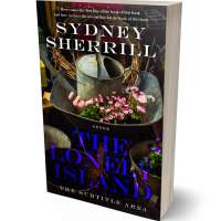 Tablet view of Gondola #8139 - Premade Literary Fiction Book Cover | BookCoverZone