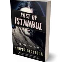 Tablet view of Sisal #8488 - Premade Mystery & Thriller & Suspense Book Cover | BookCoverZone