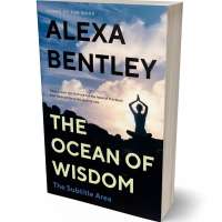 Tablet view of Ebony #9066 - Premade Health & Mind & Body Book Cover | BookCoverZone