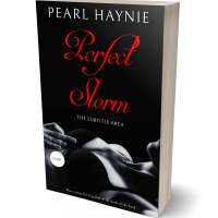 Tablet view of Cod Gray #10084 - Premade Erotica Book Cover | BookCoverZone