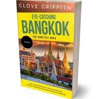 Tablet view of Lunar Green #10345 - Premade Travel Book Cover | BookCoverZone