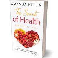 Tablet view of Persian Red #10681 - Premade Health & Dieting & Fitness Book Cover | BookCoverZone