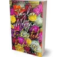 Tablet view of Spicy Mix #14852 - Premade Romance Book Cover | BookCoverZone