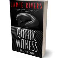 Tablet view of Cod Gray #16029 - Premade Abstract Book Cover | BookCoverZone