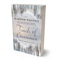 Tablet view of Pale Slate #22872 - Premade Abstract Book Cover | BookCoverZone