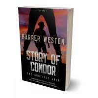 Tablet view of Gondola #23479 - Premade Romance Book Cover | BookCoverZone