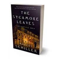 Tablet view of Gondola #25833 - Premade Mystery & Thriller & Suspense Book Cover | BookCoverZone