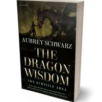 Tablet view of Rangoon Green #27525 - Premade Fantasy Book Cover | BookCoverZone