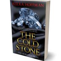 Tablet view of Shark #28641 - Premade Abstract Book Cover | BookCoverZone