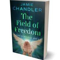 Tablet view of Firefly #30895 - Premade Religion & Spirituality Book Cover | BookCoverZone