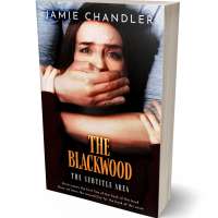 Tablet view of Cameo #31331 - Premade Mystery & Thriller & Suspense Book Cover | BookCoverZone