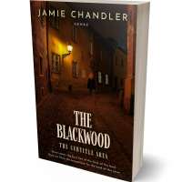 Tablet view of Cannon Black #31337 - Premade Mystery & Thriller & Suspense Book Cover | BookCoverZone