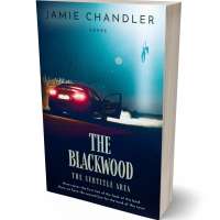 Tablet view of Loblolly #31345 - Premade Mystery & Thriller & Suspense Book Cover | BookCoverZone