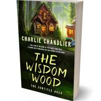 Tablet view of Deco #31673 - Premade Fantasy Book Cover | BookCoverZone