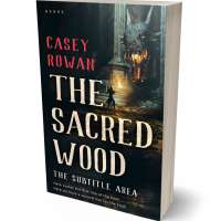 Tablet view of Cameo #31966 - Premade Fantasy Book Cover | BookCoverZone