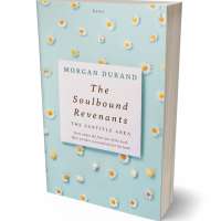 Tablet view of Nebula #32037 - Premade Poetry Book Cover | BookCoverZone