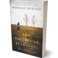 Tablet view of Judge Gray #32043 - Premade Literary Fiction Book Cover | BookCoverZone