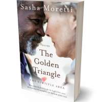 Tablet view of Cold Turkey #32245 - Premade Romance Book Cover | BookCoverZone