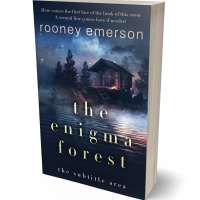 Tablet view of Big Stone #32403 - Premade Mystery & Thriller & Suspense Book Cover | BookCoverZone