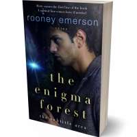 Tablet view of Cinder #32408 - Premade Paranormal & Urban Book Cover | BookCoverZone