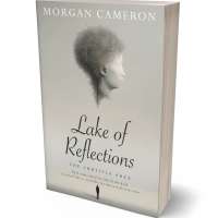 Tablet view of Mist Gray #32973 - Premade Poetry Book Cover | BookCoverZone