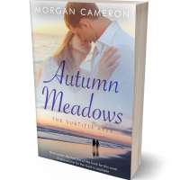 Tablet view of Silver Rust #33117 - Premade Romance Book Cover | BookCoverZone