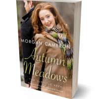 Tablet view of Shadow #33119 - Premade Romance Book Cover | BookCoverZone