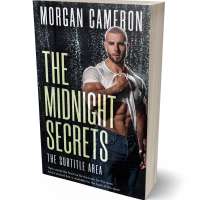 Tablet view of Foggy Gray #33173 - Premade Romance Book Cover | BookCoverZone