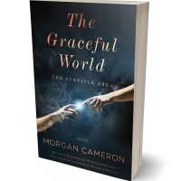 Tablet view of Mirage #33222 - Premade Religion & Spirituality Book Cover | BookCoverZone