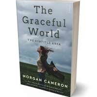 Tablet view of Gull Gray #33241 - Premade Teen & Young Adult Book Cover | BookCoverZone