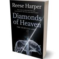 Tablet view of Cadet Blue #35329 - Premade Fantasy Book Cover | BookCoverZone