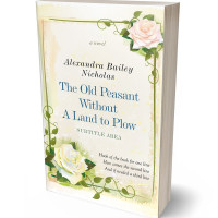 3D view of Premade Poetry Book Cover - Rum Swizzle