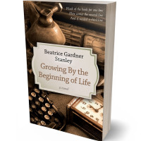 3D view of Premade Historical Book Cover - Bone