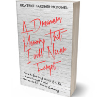 3D view of Premade Teen & Young Adult Book Cover - Alto