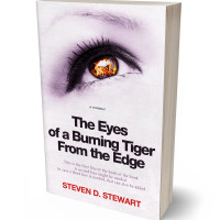 3D view of Premade Literary Fiction Book Cover - Prim