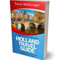 3D view of Premade Travel Book Cover - Flame Pea