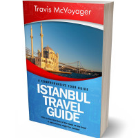 3D view of Premade Travel Book Cover - Boston Blue