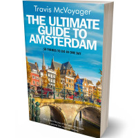 3D view of Premade Travel Book Cover - Curious Blue